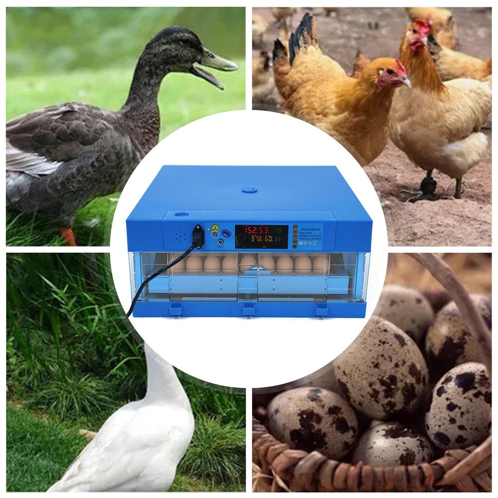 For Chicken Birds Hatching 48 Eggs Incubator Hatching Digital Automatic Hatcher