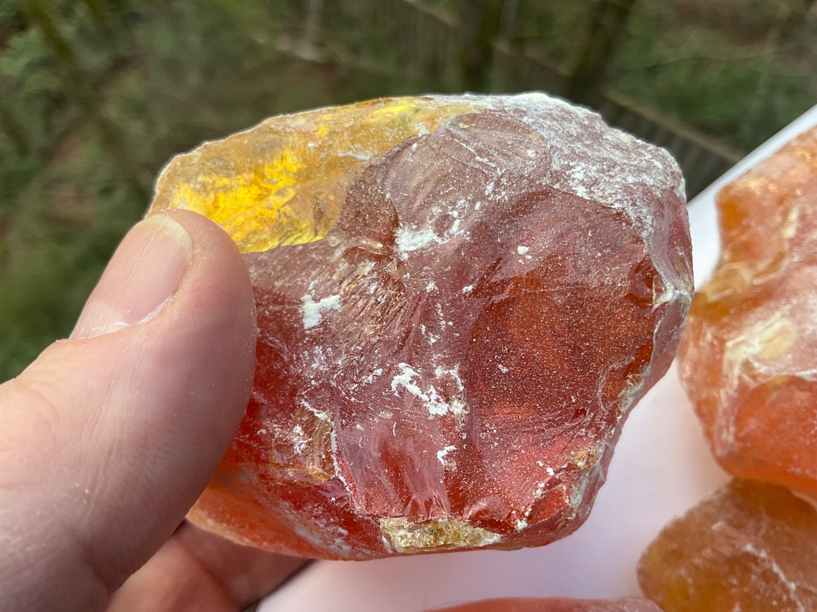 Pinyon Pine Pitch Glue Resin Rosin Amber Native American Crafts, sold by ounce