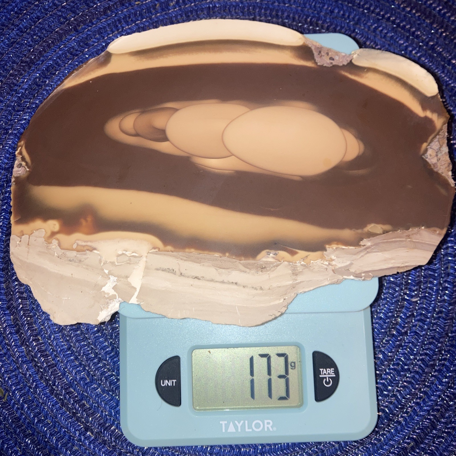 Bruneau Jasper Large Slab-Brown Tones With Cream Edges-Beautiful Orbs 6.1oz/173g