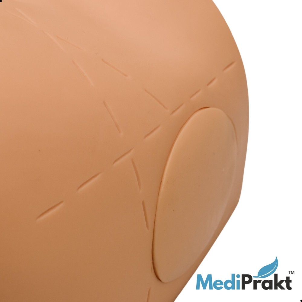 MediPrakt | BUTTOCKS Intramuscular Injection Training Model | Hip IM Injection
