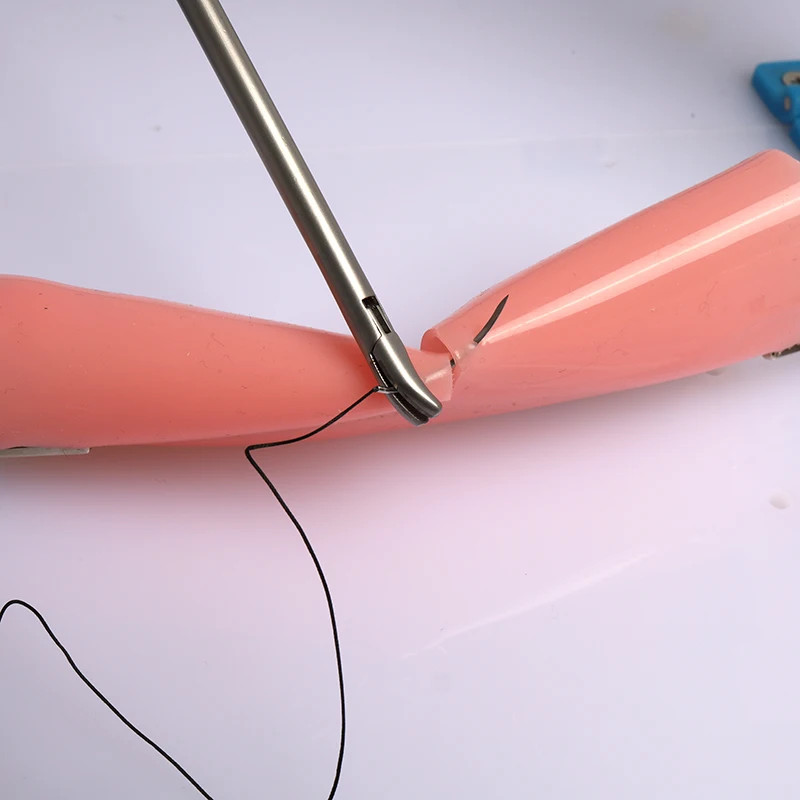 Laparoscopic Surgery Simulation Intestinal Anastomosis Training Module Intestine