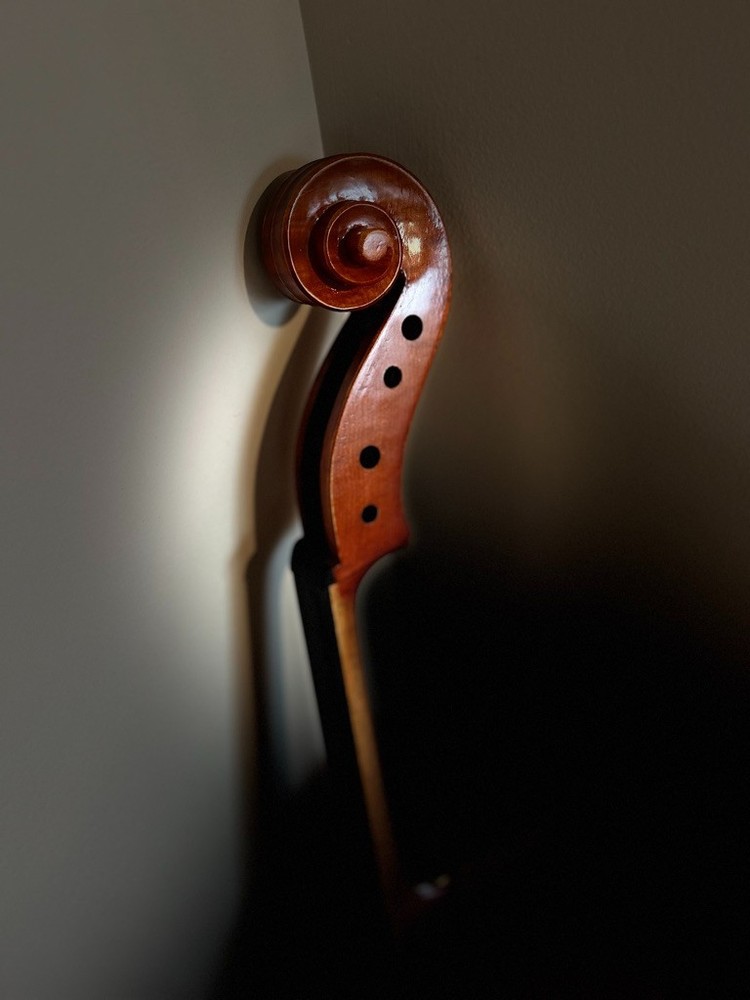 eastman cello 3/4