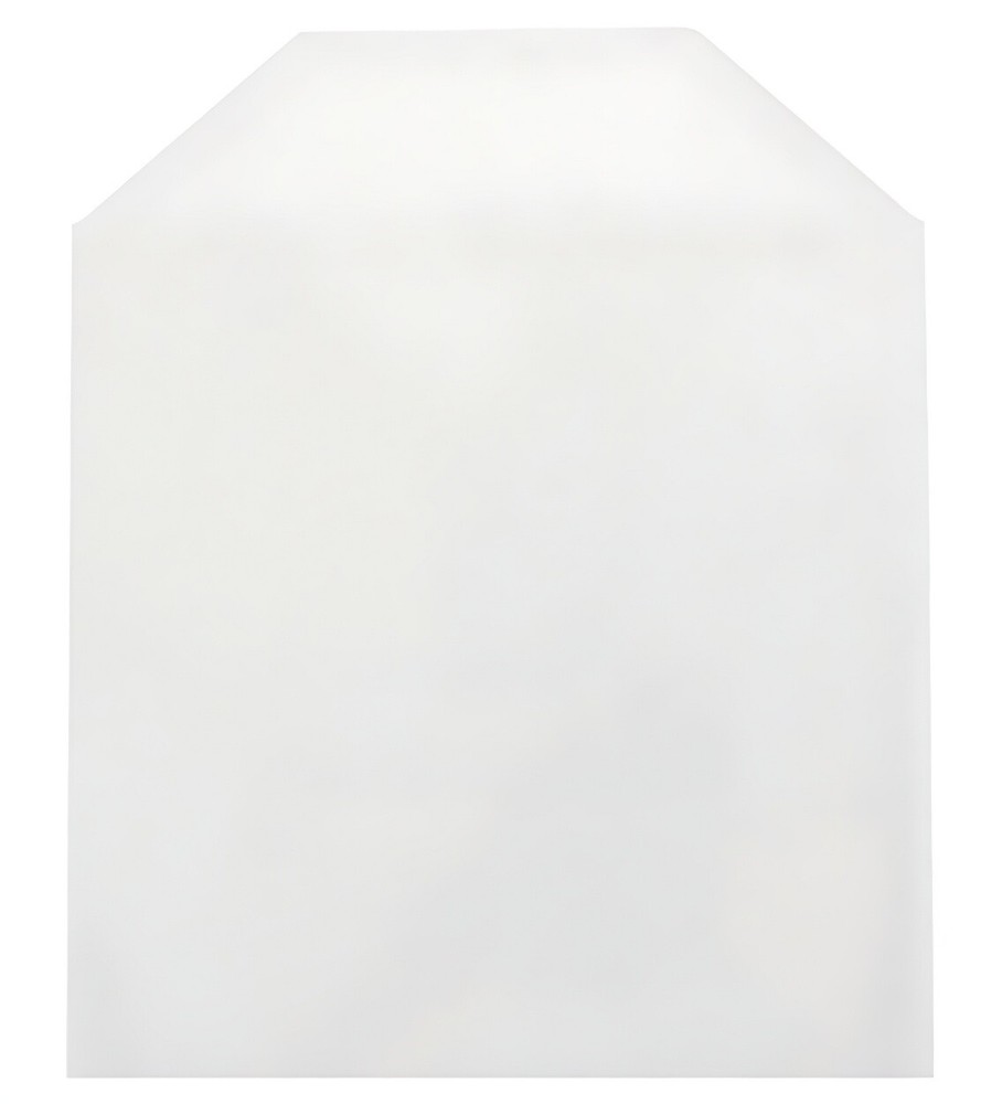 300 CPP Clear Plastic Sleeve with Flap - Fits Blu-ray Case Artwork Only 2-3 DAYS