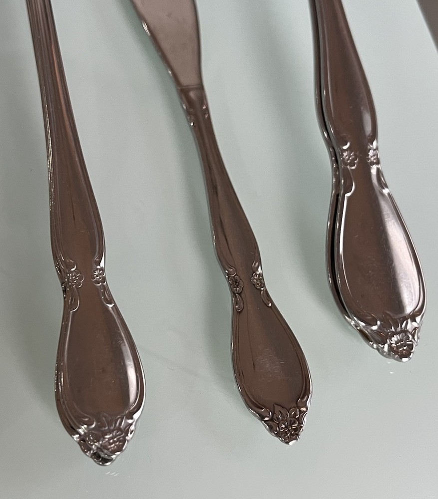 Oneida Community Chatelaine 49 piece Stainless Flatware Set *READ*