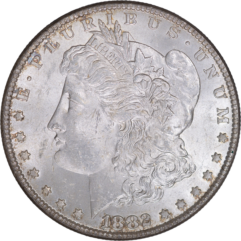1882 Morgan Silver Dollar ~ UNC