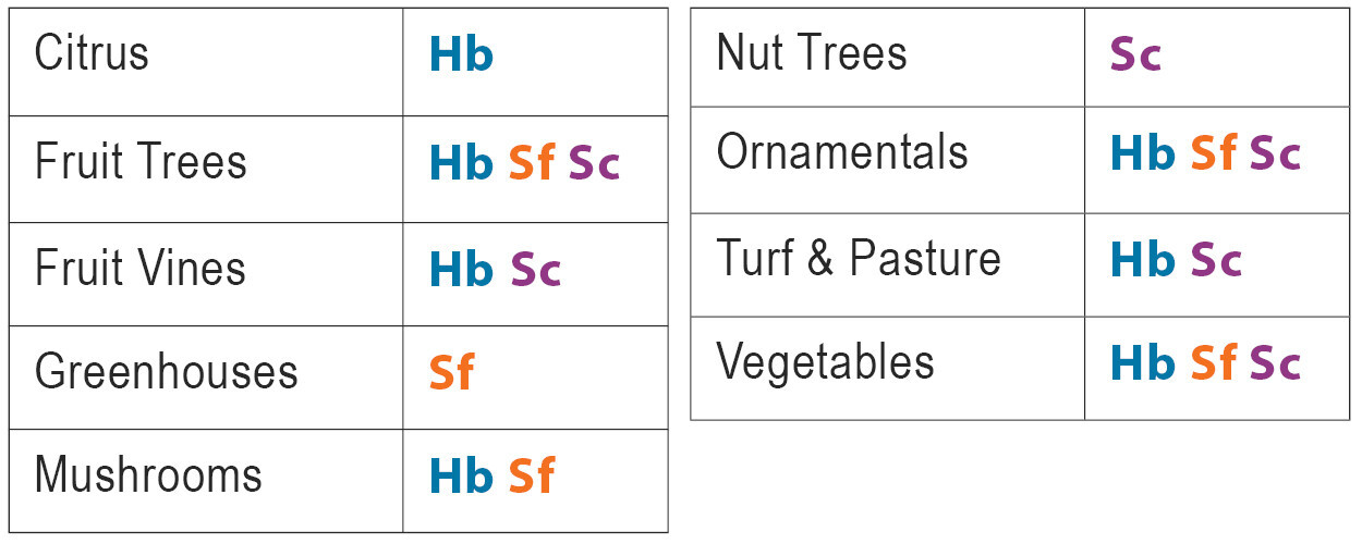 50 Million Beneficial Nematodes Triple Blend HB+SC+SF Targets 200+ Soil Pests
