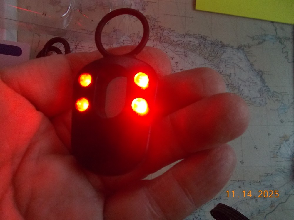 NIOB Koilboane Camera Detector