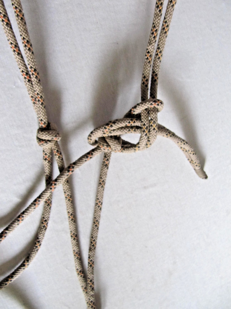 KNOT ROPE HALTER Tan with Blk & Orange