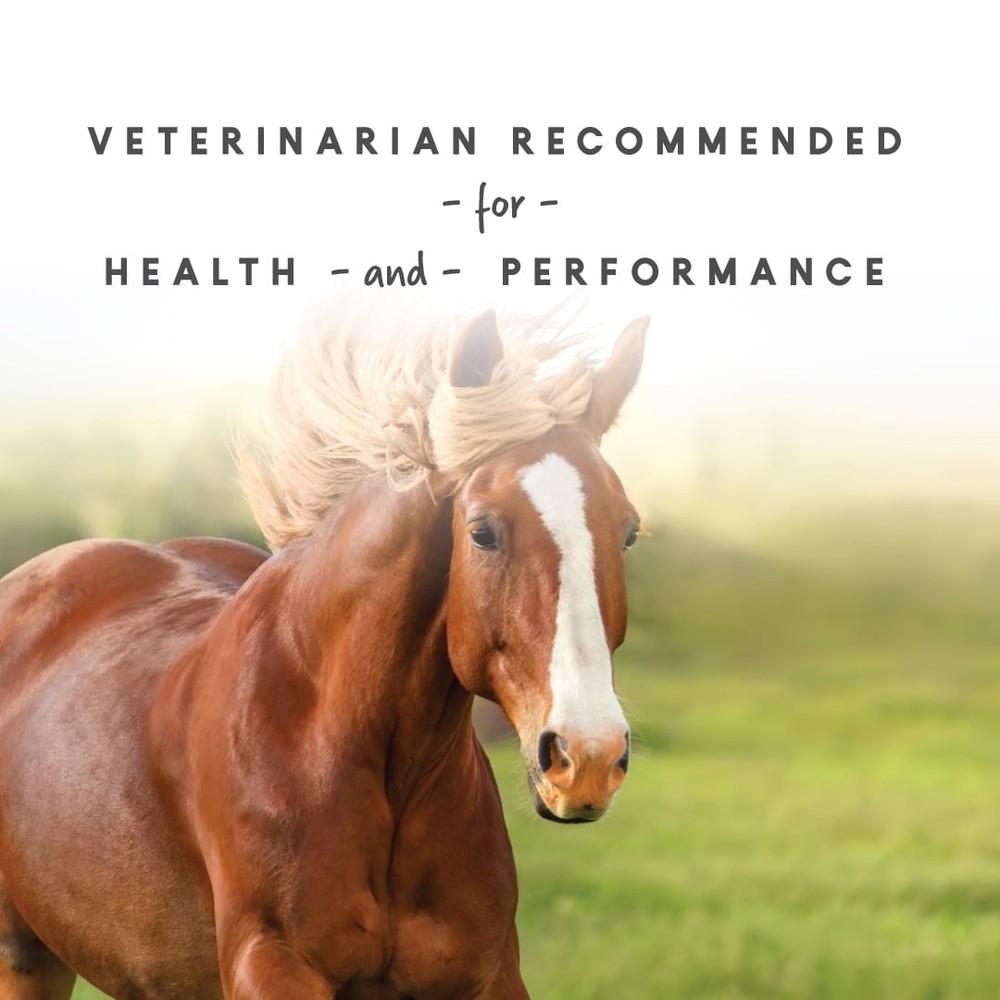 Complete Vitamin and Supplement for Horses, 5 lb Nutritional Support