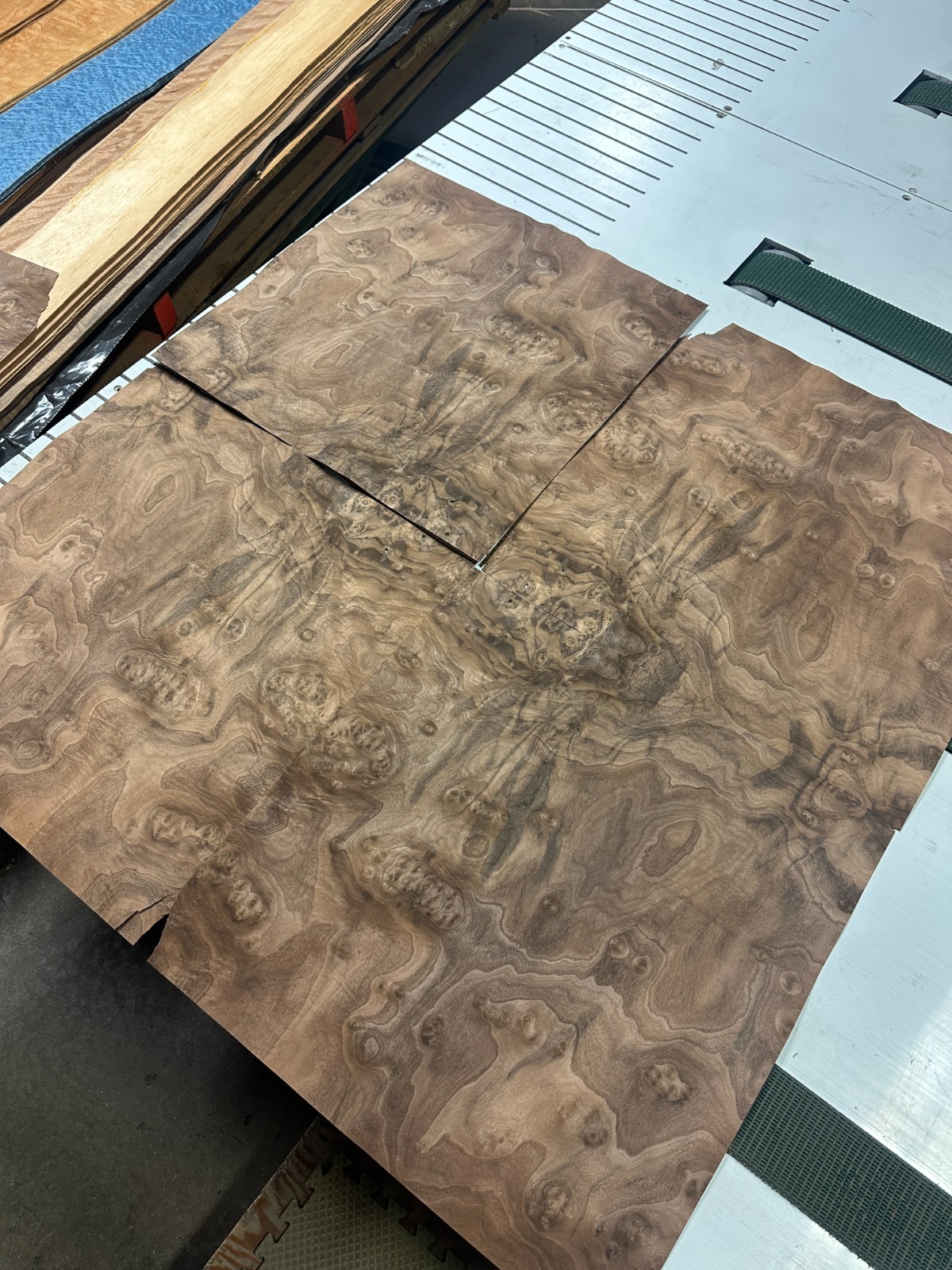 Walnut Burl Raw Wood Veneer 2 sheets 25'' x 23''  916R