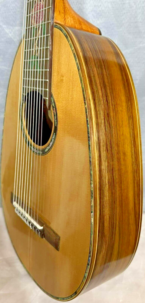 Blueberry Handmade Ten String Classical Nylon String Guitar Built to Order