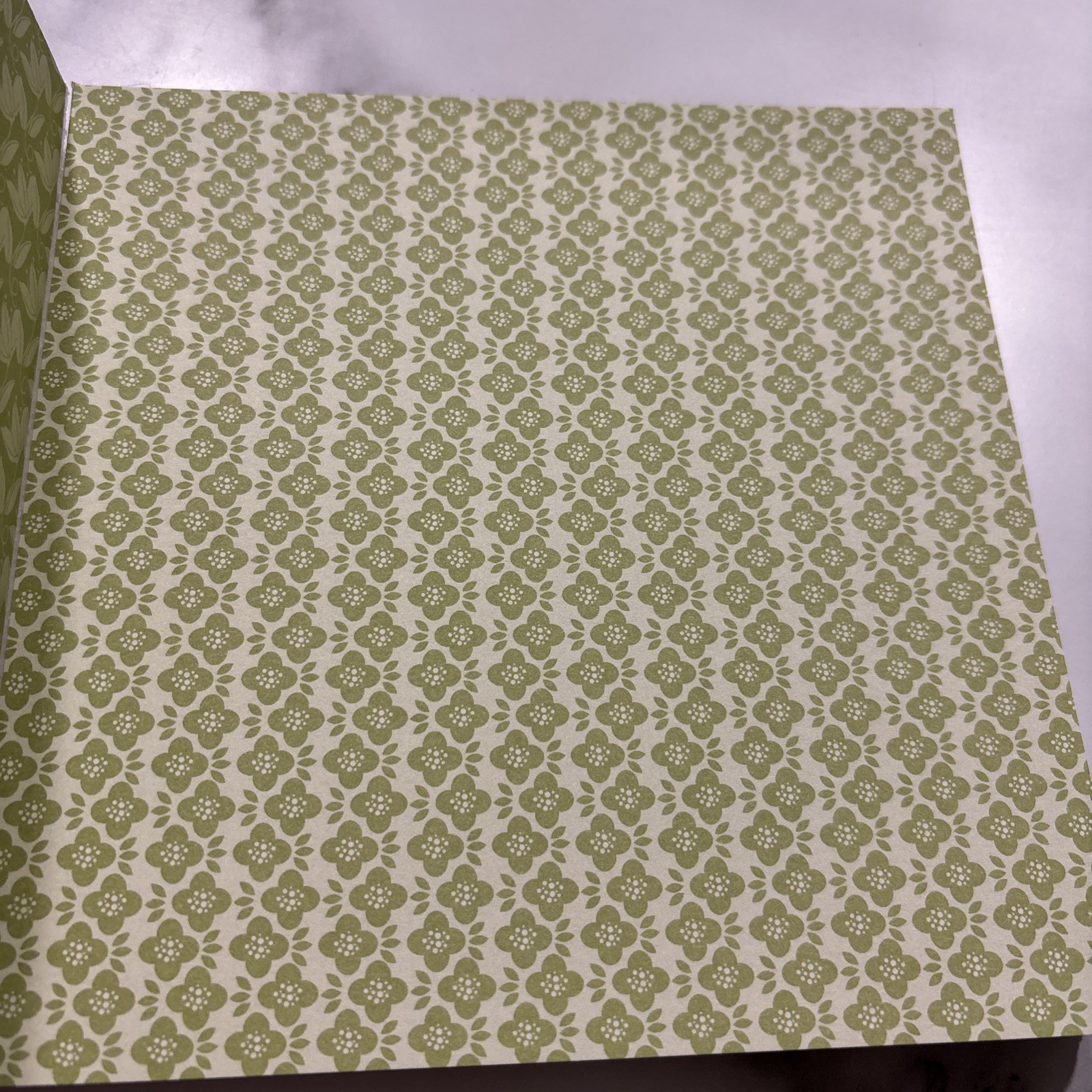 Stampin' Up! In Color 121028 6 x 6 Retired Designer Series Paper Stack DSP