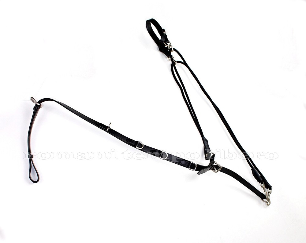 LEATHER GOGUE WITH RINGS