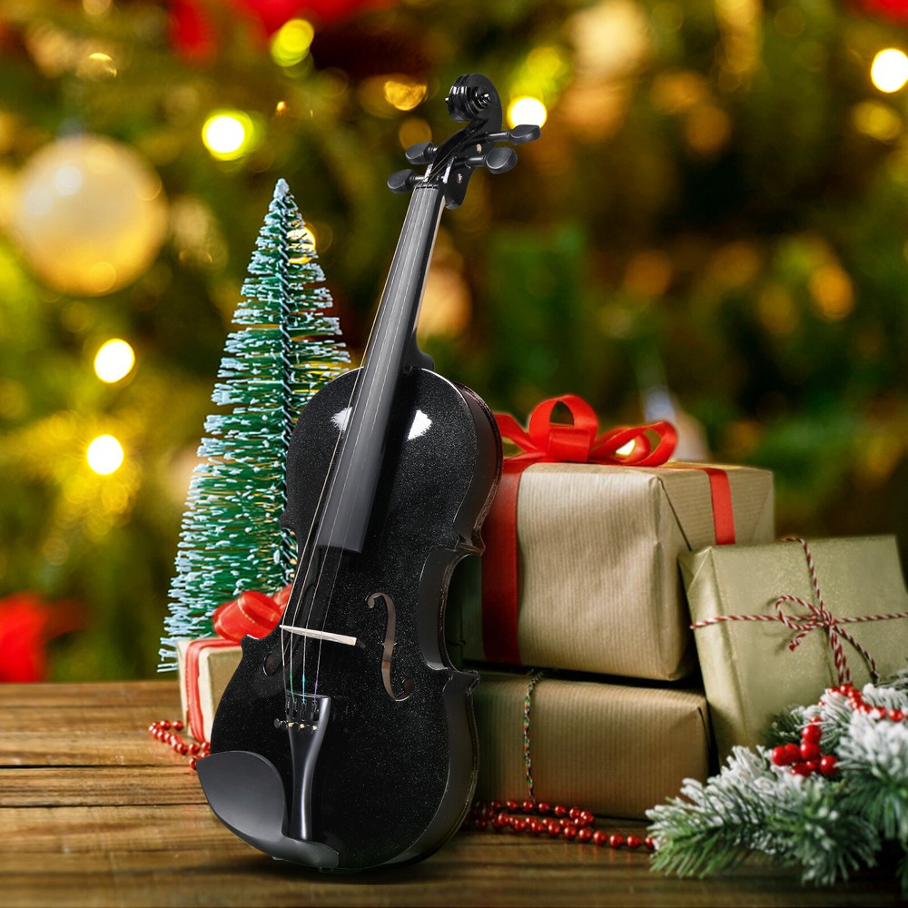 4/4 Full Size Violin Set with Case Bow Shoulder Rest Rosin String Bridge Sordine