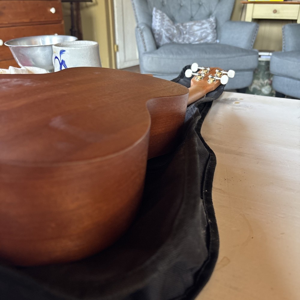 Firebrand Ukelele with case