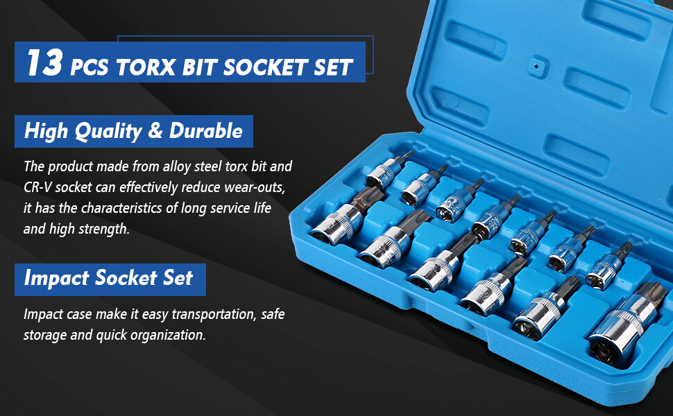 13Pc Master Torx Socket Set Tamper Proof Security Bits Plus External Star w/Case