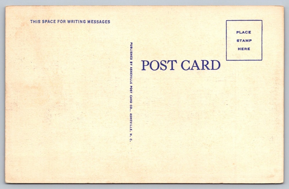 #4178 Beautiful Blooms Iris FDC Maxi Card