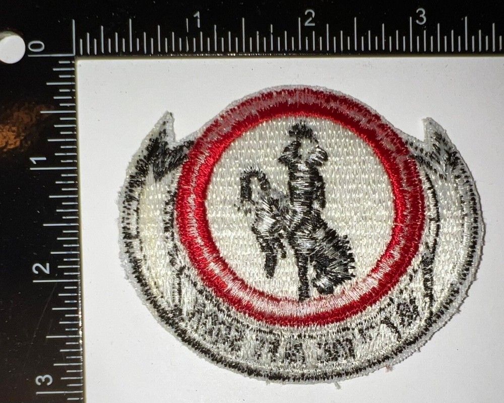 Cold War USAF US Air Force 187th Tactical Airlift Squadron Patch