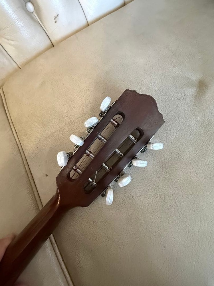 78: Mandolin Spruce body 8 strings