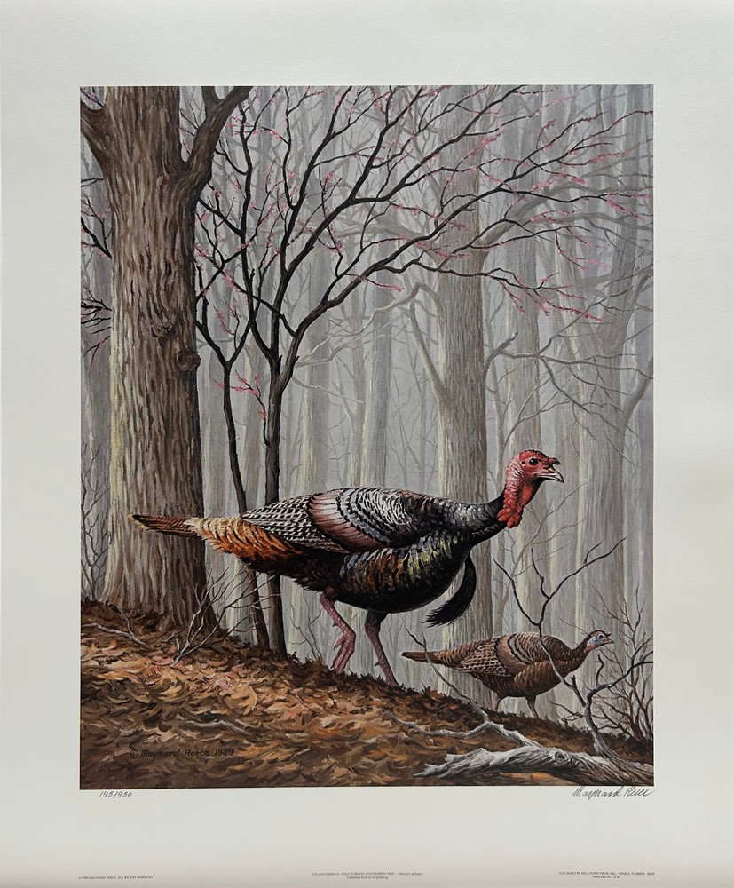 Maynard Reece - Upland Series II - Wild Turkeys - Signed/numbered Print