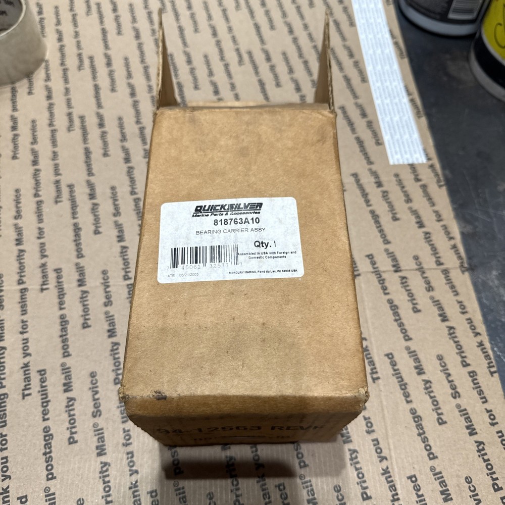 Quicksilver 818763A10