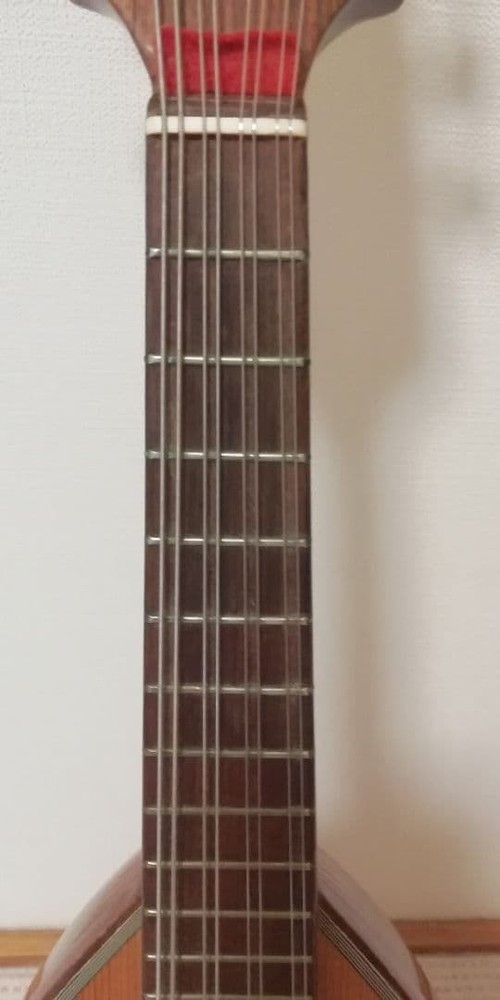Calace Calace Mandolin Mandolin [No.24]