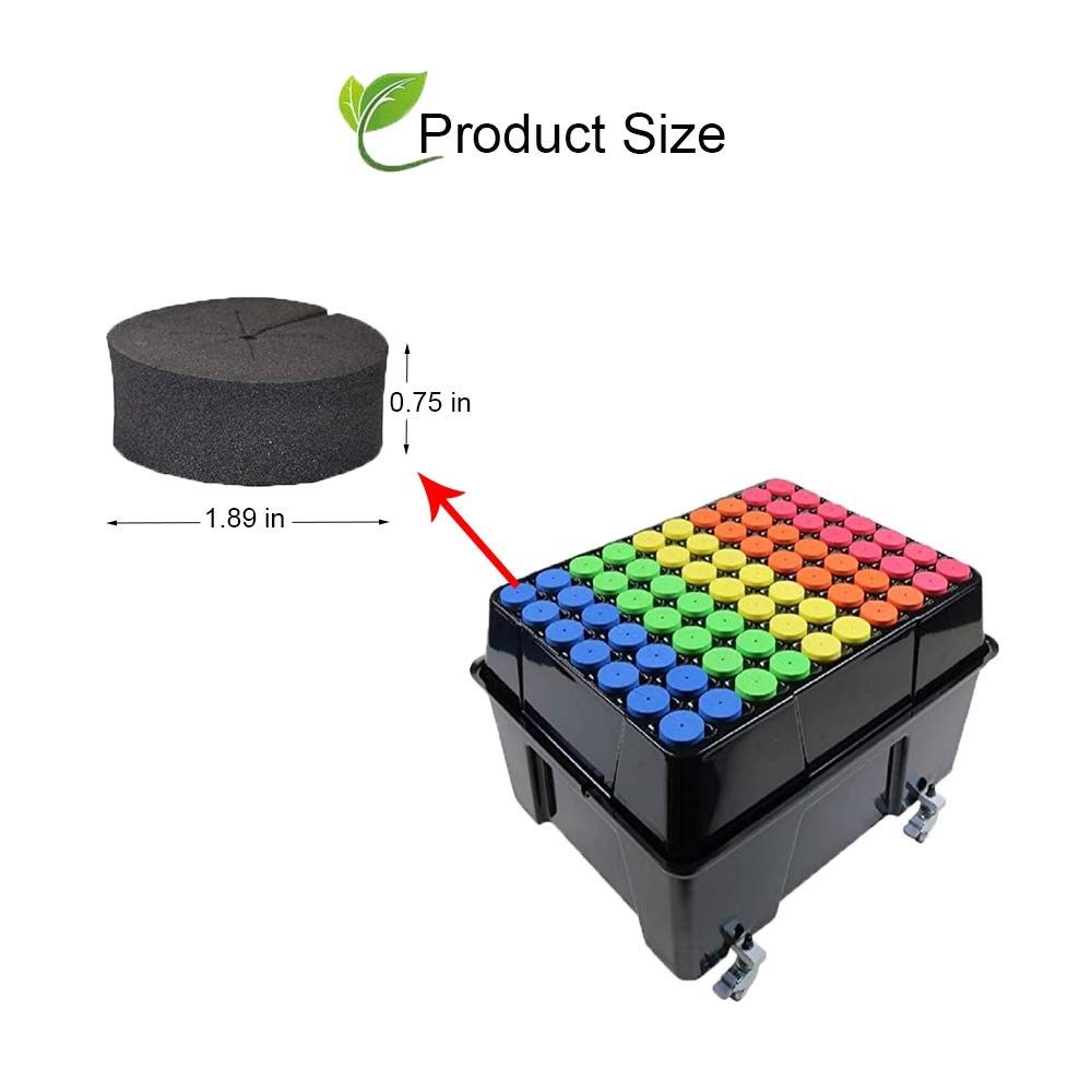 50 Pack Cloning Collars Inserts Premium Grade Foam, Cloner Collars, Better Th...