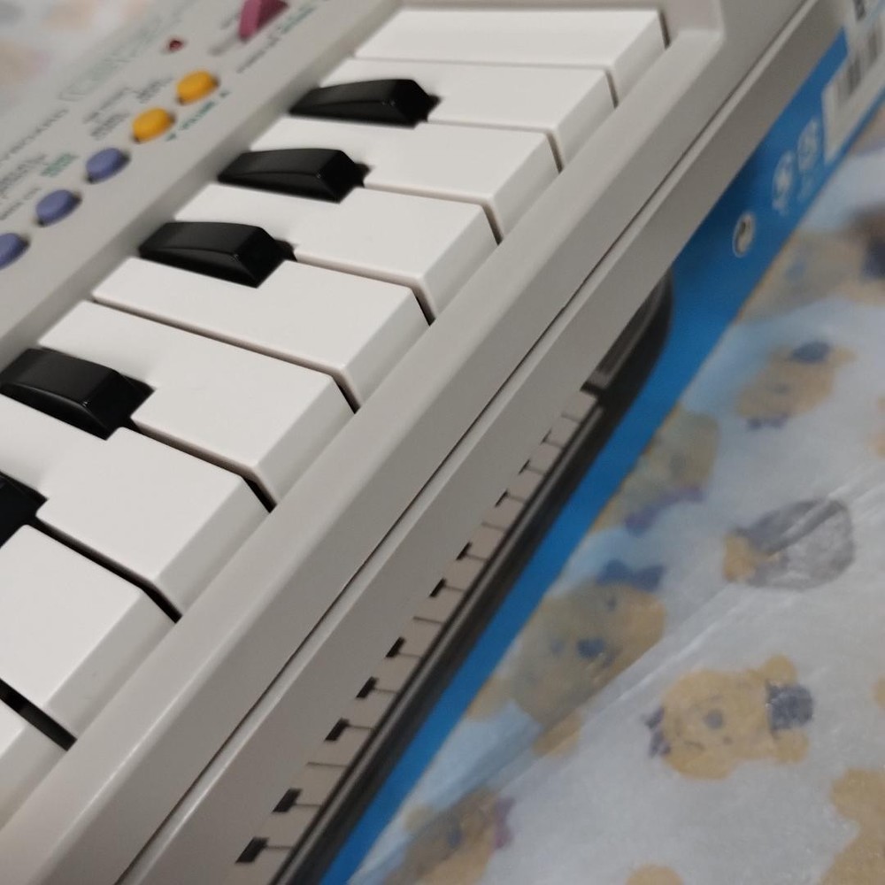 CASIO GZ-5 Mini Digital MIDI Keyboard Controller Built-in Speaker Portable