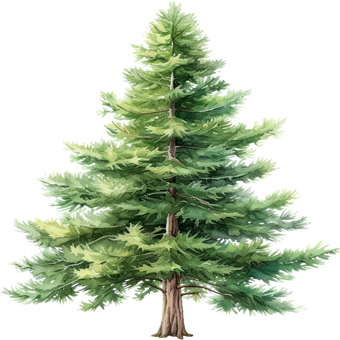 30 Custom Simple Pine Tree Personalized Address Labels