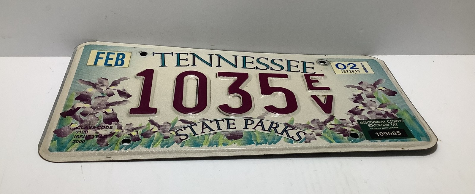 Tennessee State Parks Iris Flower Specialty License Plate Tag