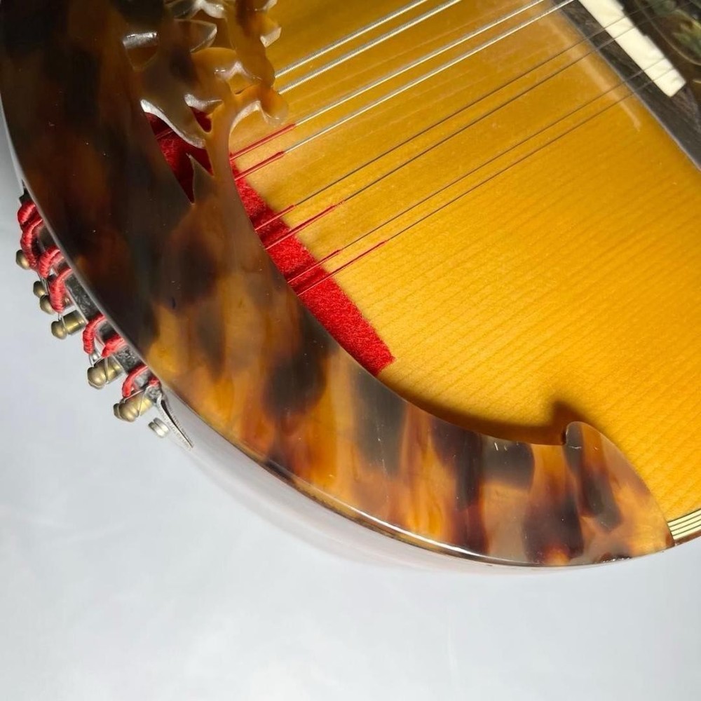 Mandolin Raffaele Calace Type15 raffaele calace