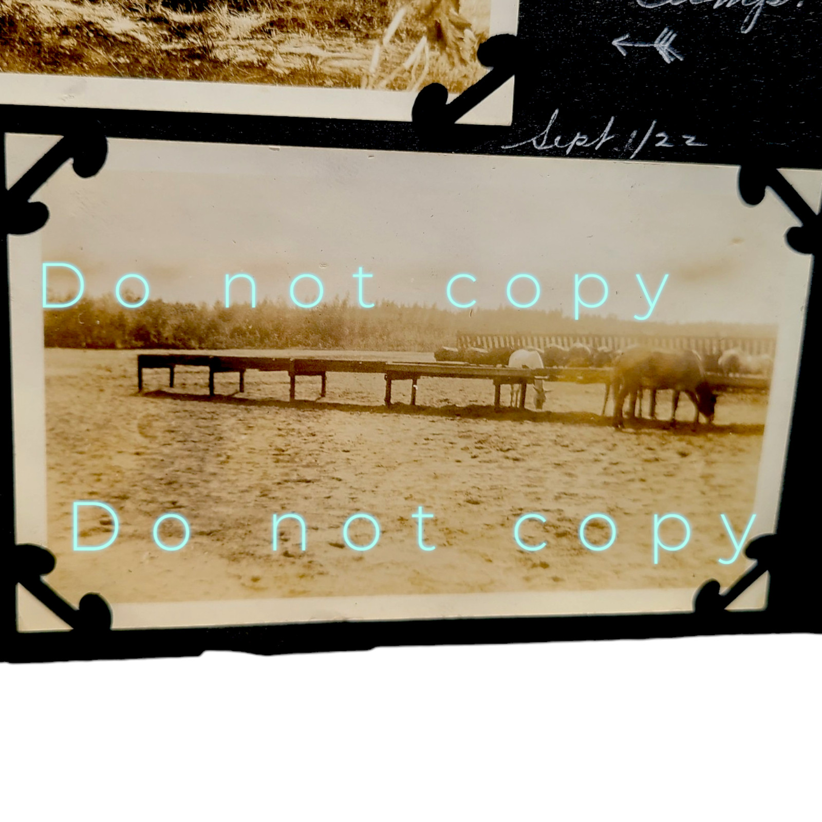 1920 Vintage Plattsburgh NY OFFICER's CAMP ORIGINAL Photo Lot Tents Mules