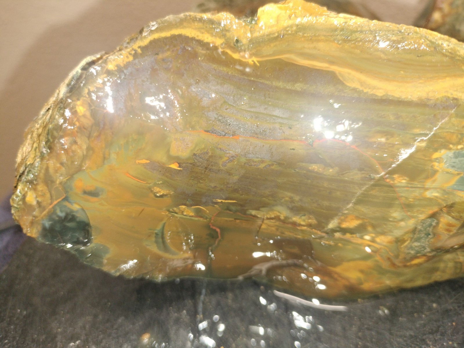 7.3LB ORBS Blue Mountain Picture Jasper Rough 6pc Lot #26