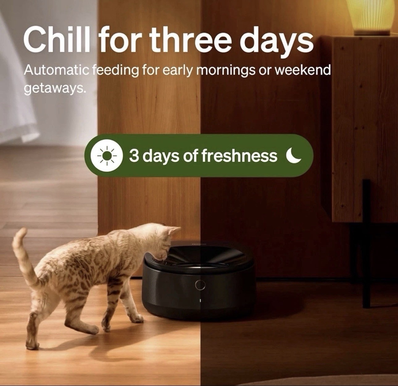 PETLIBRO WiFi Pet Polar Refrigerated Smart Wet Food Feeder Black PLAF109 New