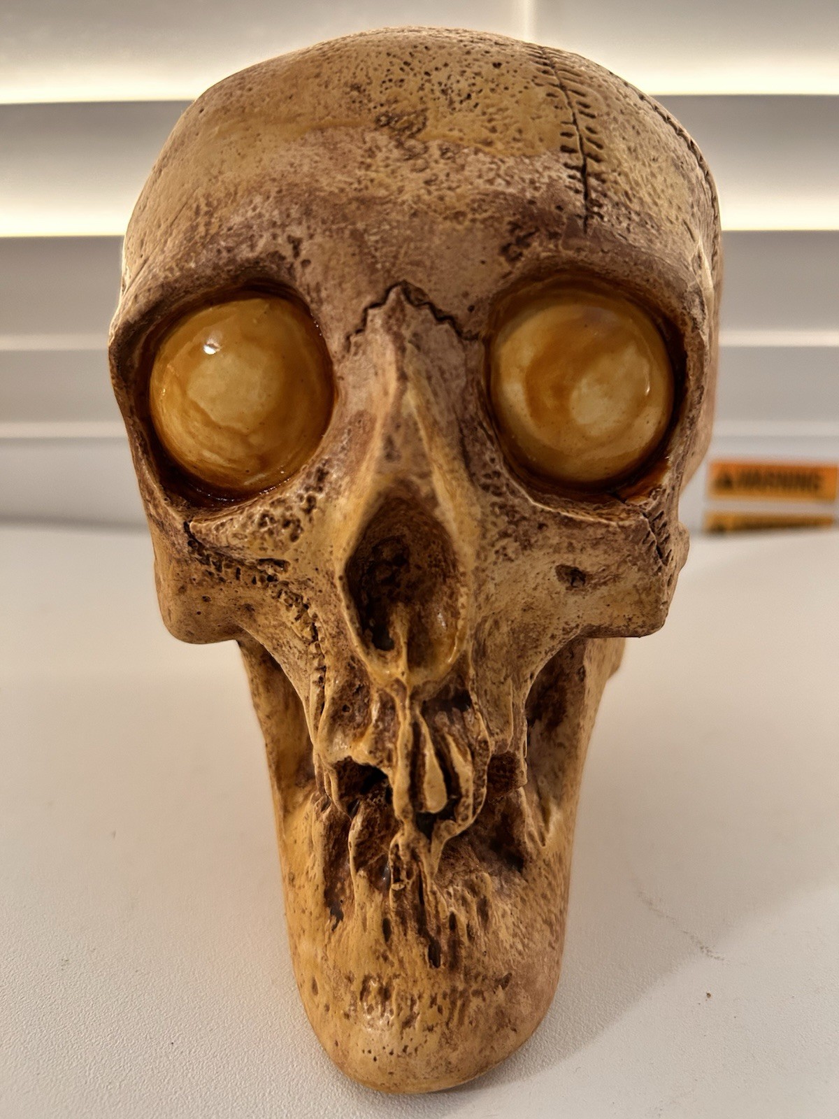 VINTAGE RANDOTTI SAMPLE "GOOGLE YELLOW EYED SKULL" STILL GLOWS IN THE DARK