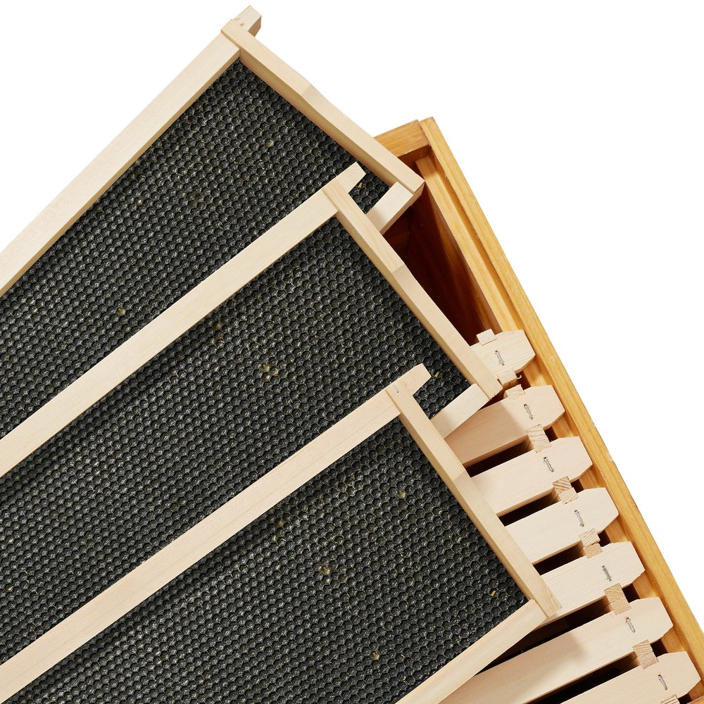 10-Pack Unassembled Medium Super Waxed Frames - Black