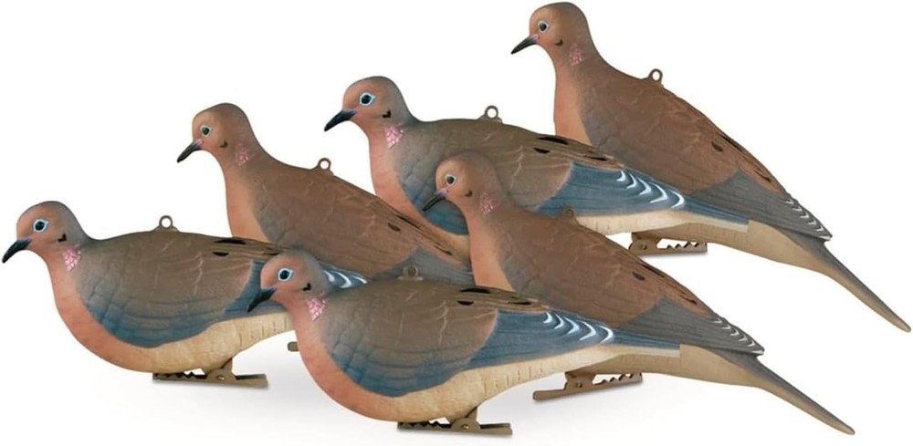 Avery Mourning Doves 6 Pack