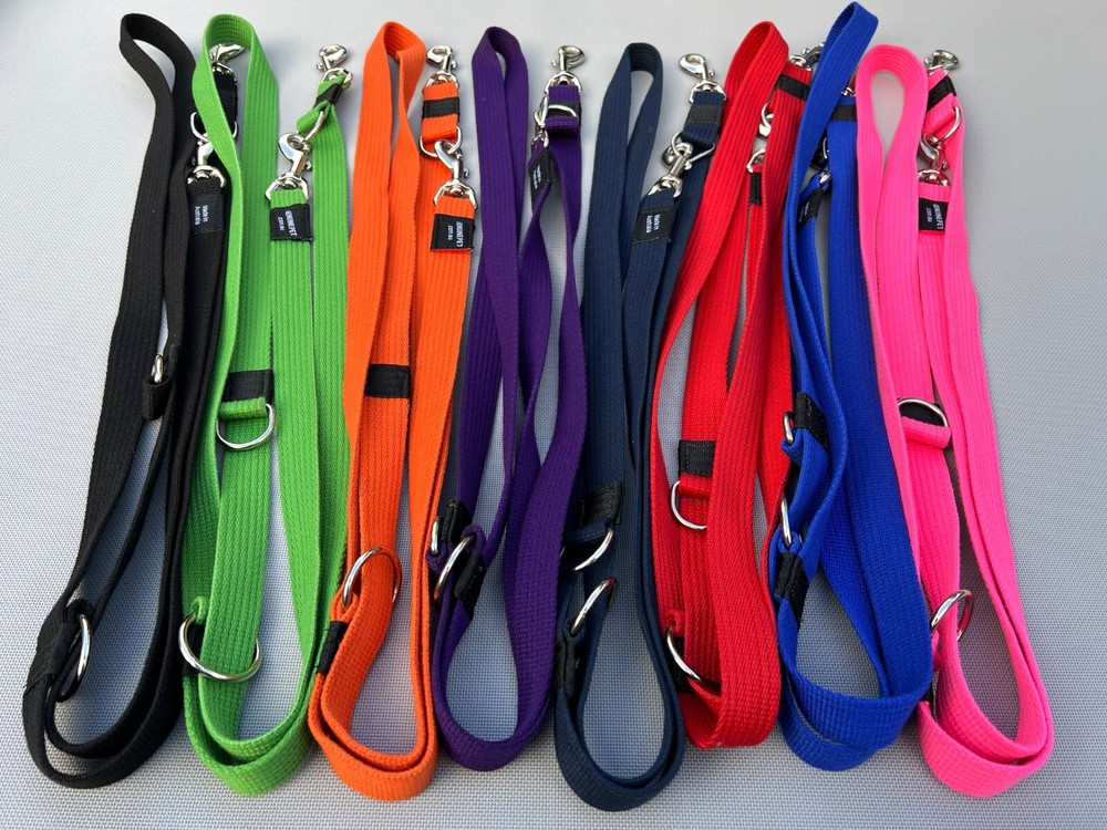 Multi-Function Dog Lead Training Leash Collar Webbing