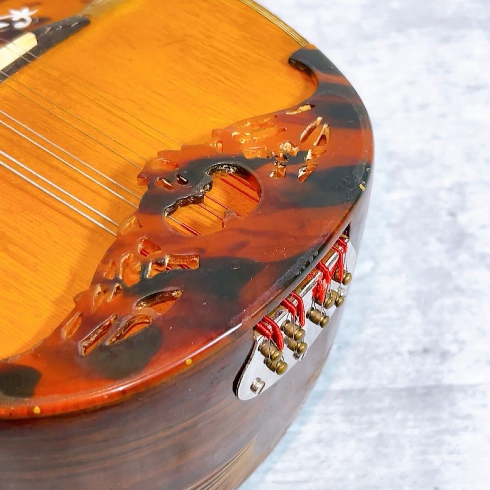 Rare! Raffaele Calace Mandolin No.16