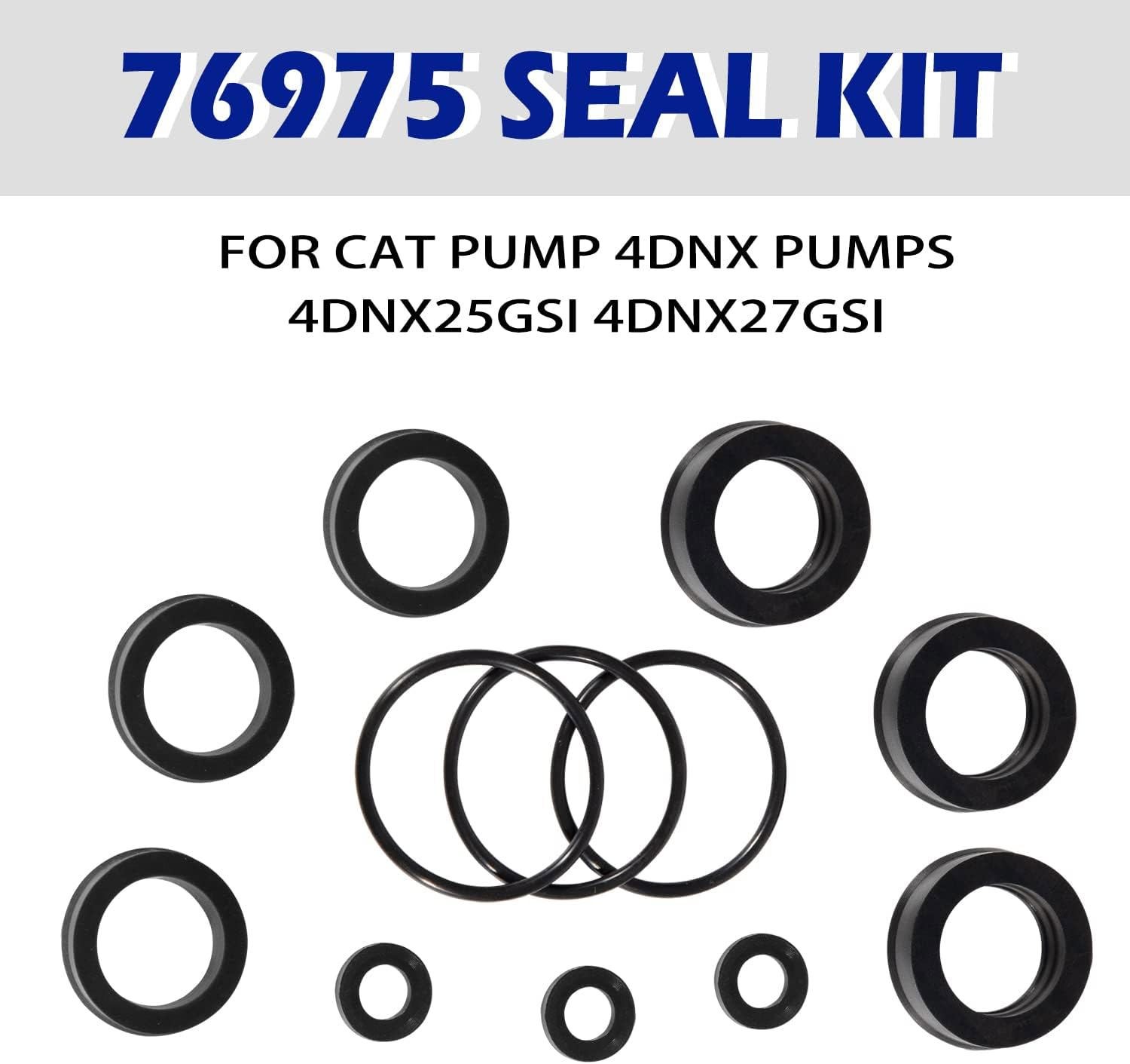 76975 Seal Kit 12Pcs For Cat Pump 4DNX Pumps 4DNX25GSI 4DNX27GSI CAT Seal Kit