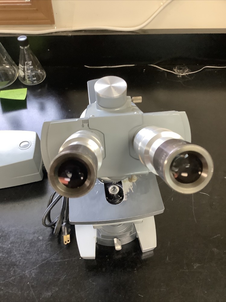 AO Spencer Binocular Microscope with Transformer