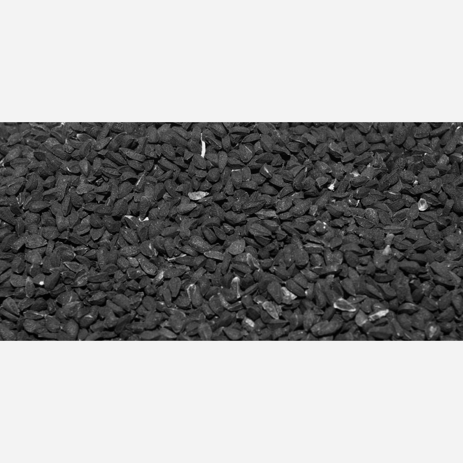 Black Cumin Seed NIGELLA SATIVA Black Seed Raw Semilla de Comino Negro