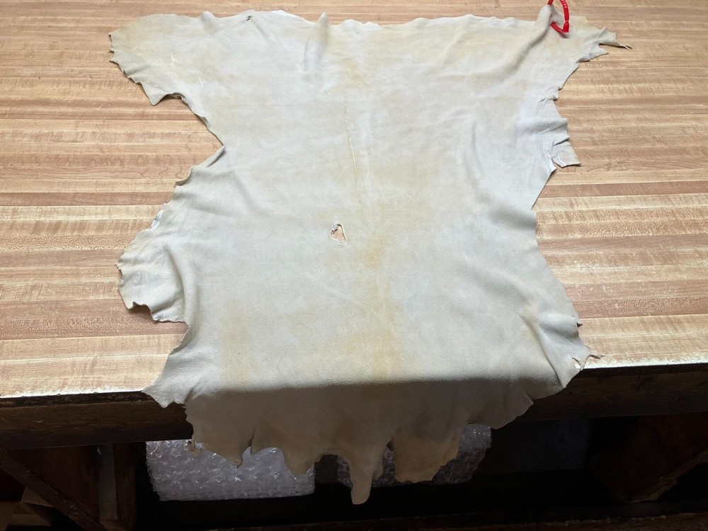 Suede Deer Leather #0018366 Row WW