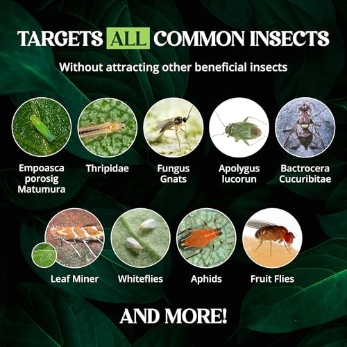 Catchmaster Pre-Cut Sticky Traps 50PK, Bug & Fly Trap for Crawling Insects