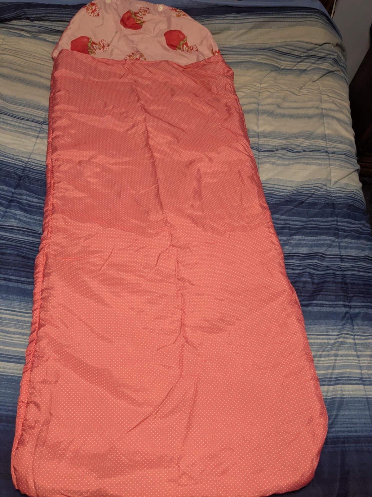 VTG Retro Strawberry Shortcake Kids Sleeping Bag/Backpack Life Is Delicious