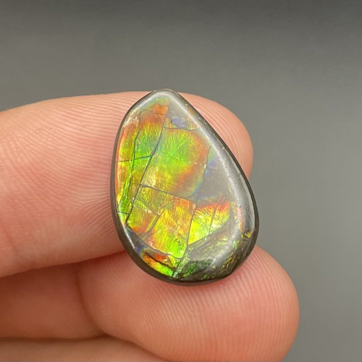 BEAUTIFUL FLASHY CANADIAN AMMOLITE GEMSTONE ALBERTA CANADA GORGEOUS