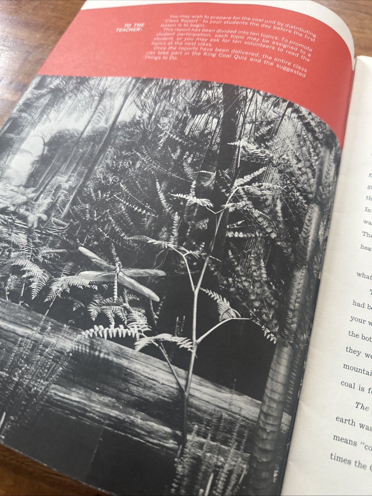 CLASS REPORT COAL by National Coal Association USA Vintage