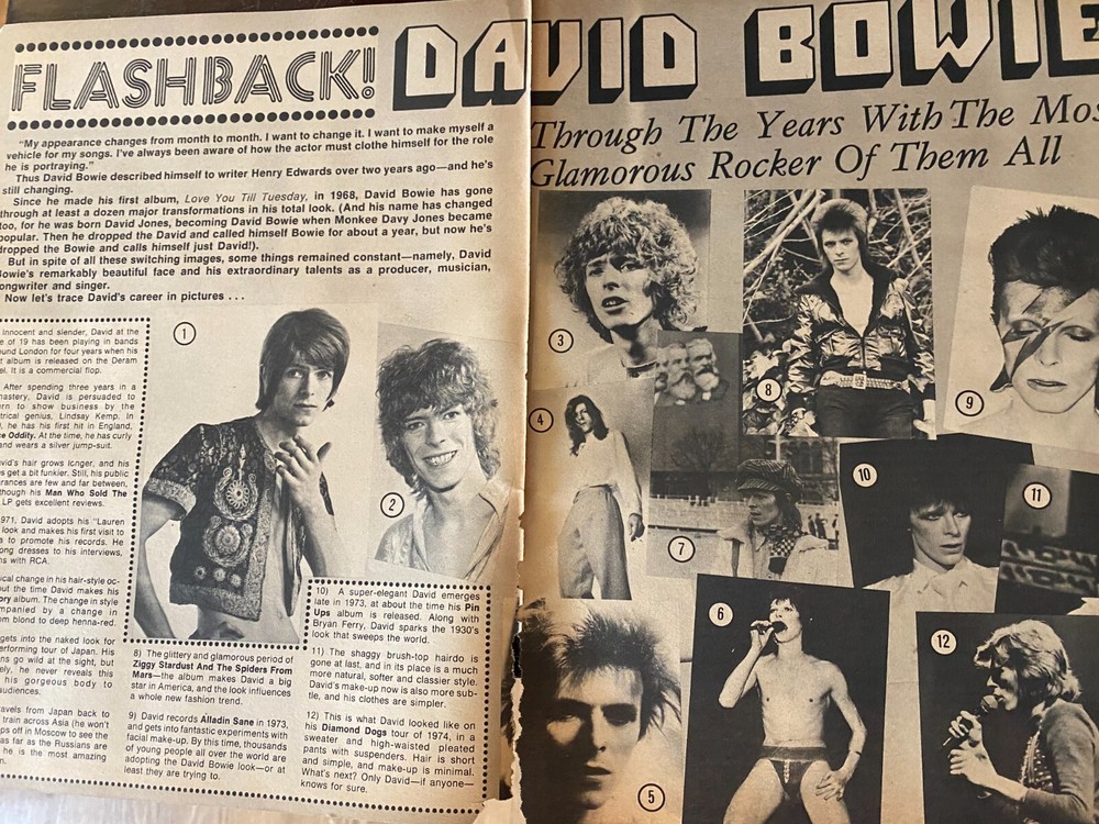 David Bowie, Two Page Vintage Clipping, aa