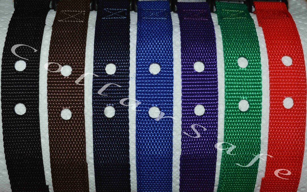 CollarSafe BASIC Replacement Collar-ONLY FITS Older R21 R22 R51 Receiver Modules