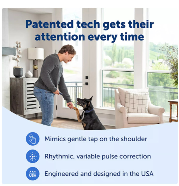 PetSafe Basic Dog Training Collar Remote 300ft Waterproof Rechargeable